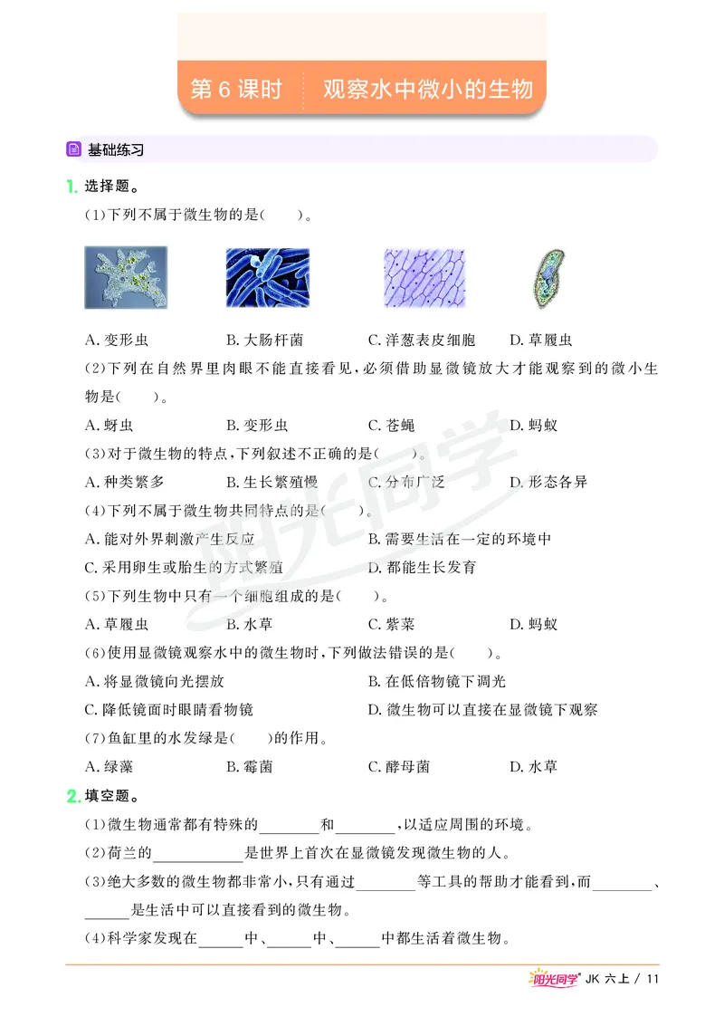 课时科学JK六上_2024年人教版小学数学一二三四五六年级上册下册期中期末试a0747_小学全科《同步练习+精品试卷》打包下载（1-6年级单元月考期中期末试卷）_小学科学