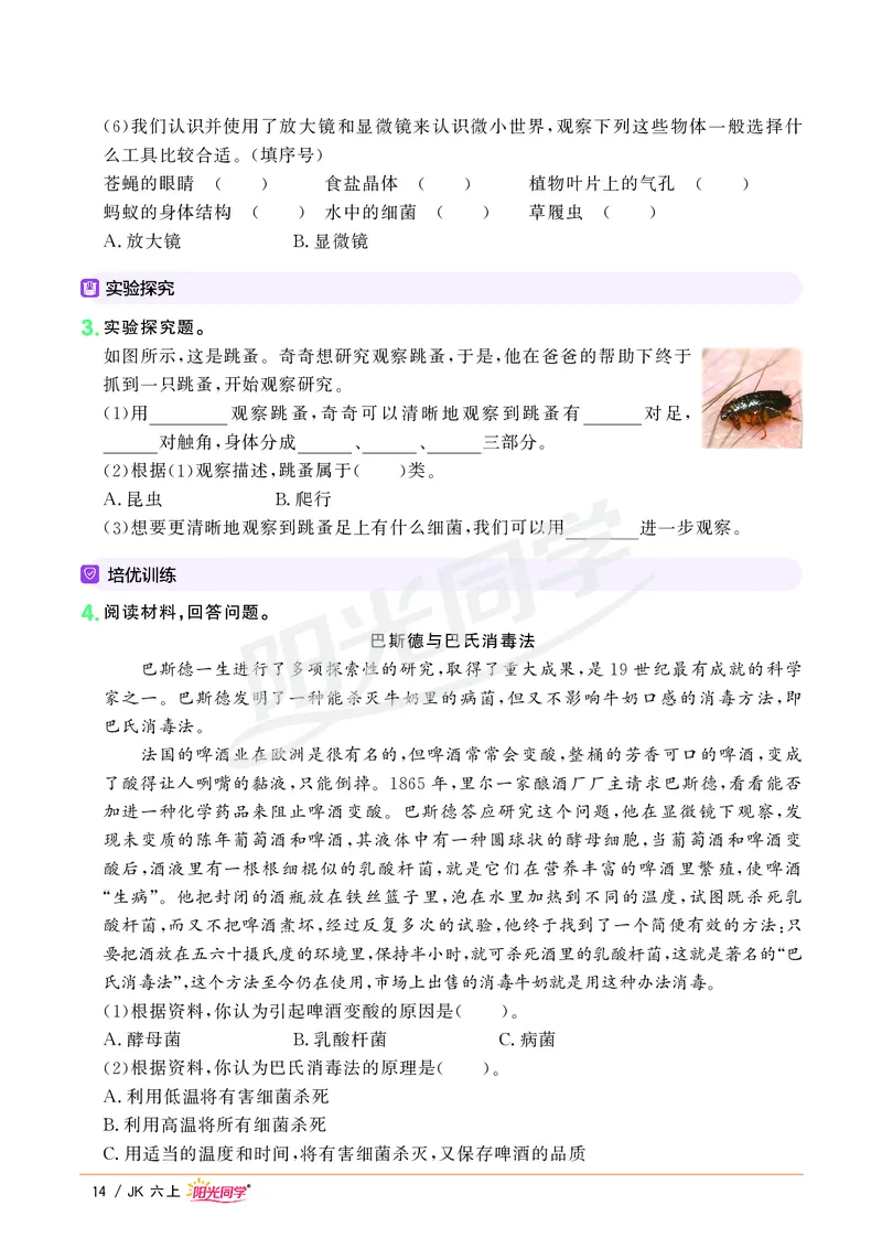 课时科学JK六上_2024年人教版小学数学一二三四五六年级上册下册期中期末试a0747_小学全科《同步练习+精品试卷》打包下载（1-6年级单元月考期中期末试卷）_小学科学