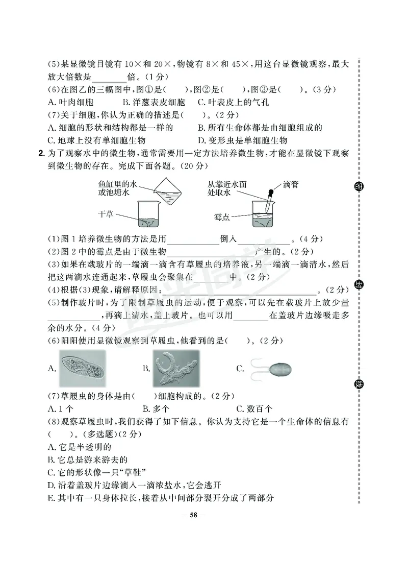 课时科学JK六上_2024年人教版小学数学一二三四五六年级上册下册期中期末试a0747_小学全科《同步练习+精品试卷》打包下载（1-6年级单元月考期中期末试卷）_小学科学