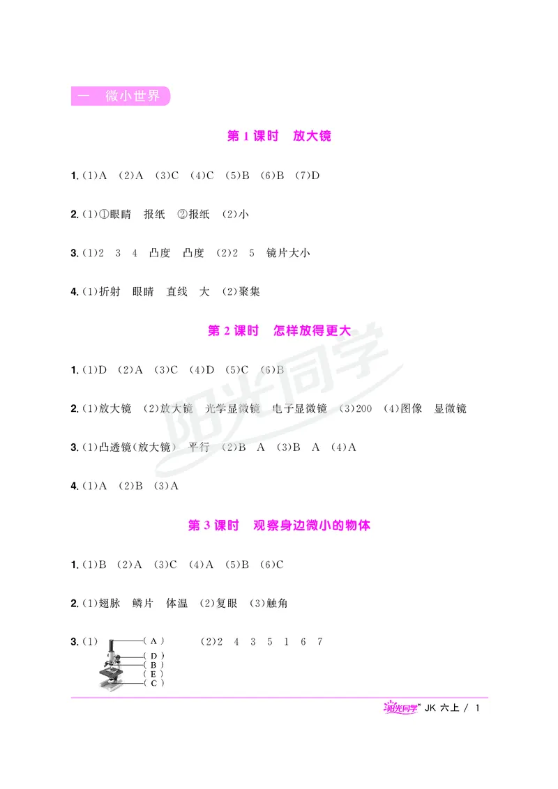 课时科学JK六上_2024年人教版小学数学一二三四五六年级上册下册期中期末试a0747_小学全科《同步练习+精品试卷》打包下载（1-6年级单元月考期中期末试卷）_小学科学