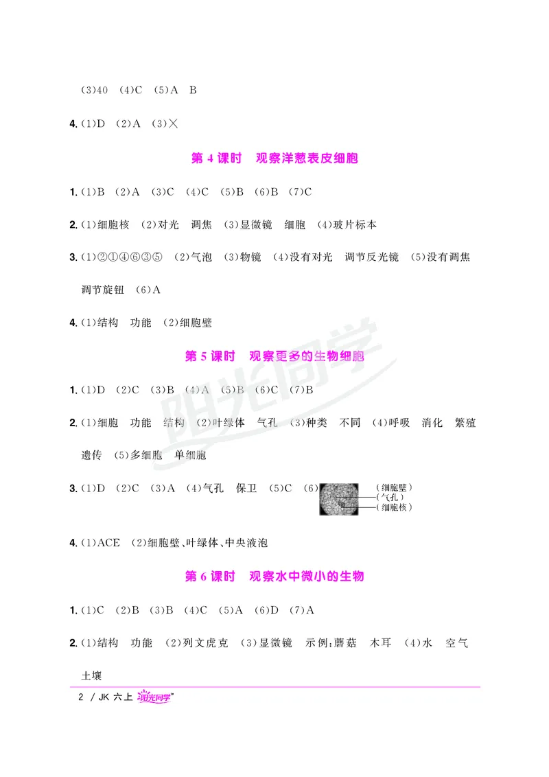课时科学JK六上_2024年人教版小学数学一二三四五六年级上册下册期中期末试a0747_小学全科《同步练习+精品试卷》打包下载（1-6年级单元月考期中期末试卷）_小学科学
