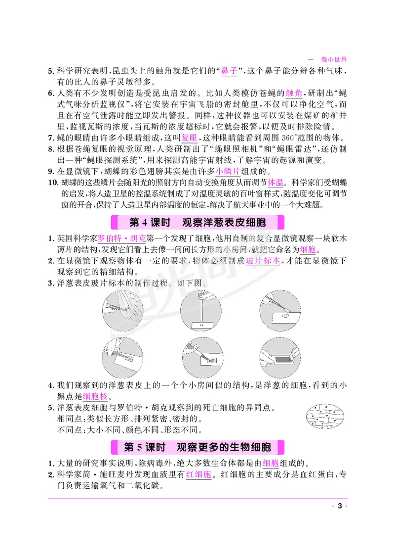 课时科学JK六上_2024年人教版小学数学一二三四五六年级上册下册期中期末试a0747_小学全科《同步练习+精品试卷》打包下载（1-6年级单元月考期中期末试卷）_小学科学