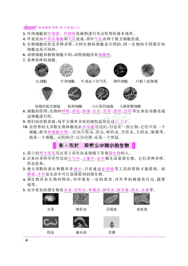 课时科学JK六上_2024年人教版小学数学一二三四五六年级上册下册期中期末试a0747_小学全科《同步练习+精品试卷》打包下载（1-6年级单元月考期中期末试卷）_小学科学