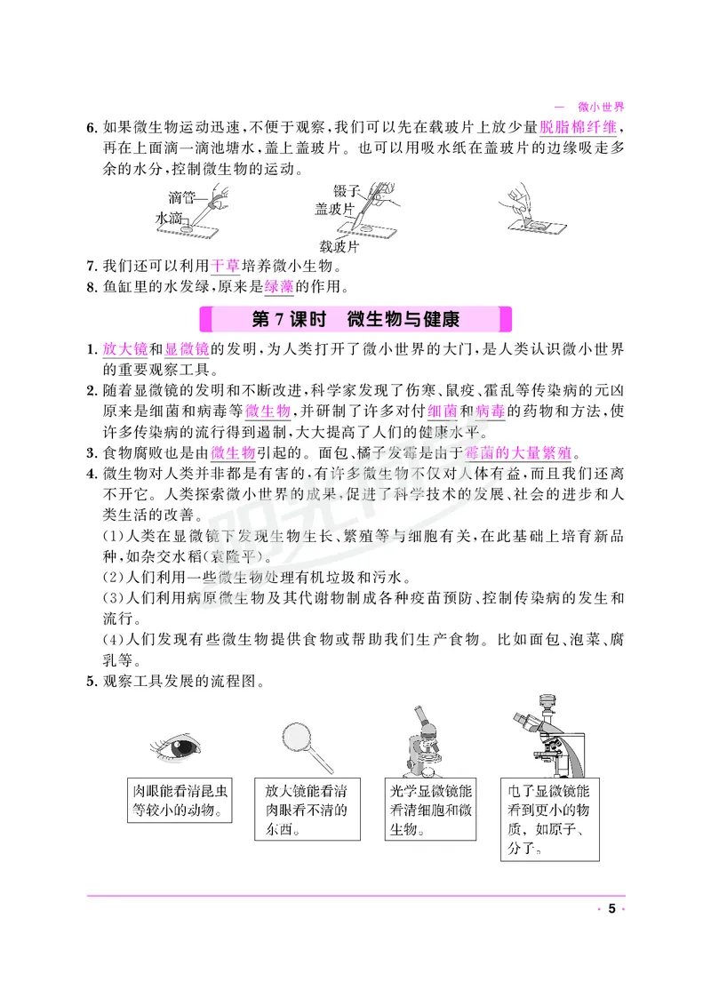 课时科学JK六上_2024年人教版小学数学一二三四五六年级上册下册期中期末试a0747_小学全科《同步练习+精品试卷》打包下载（1-6年级单元月考期中期末试卷）_小学科学
