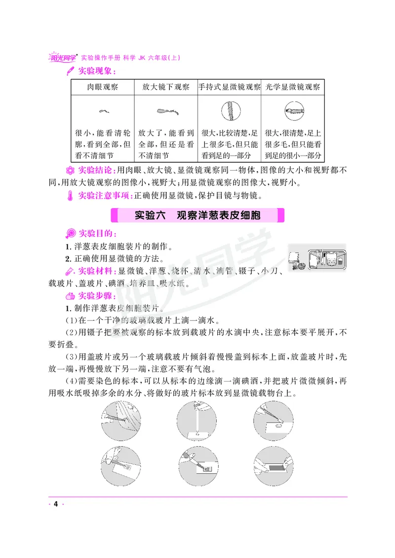课时科学JK六上_2024年人教版小学数学一二三四五六年级上册下册期中期末试a0747_小学全科《同步练习+精品试卷》打包下载（1-6年级单元月考期中期末试卷）_小学科学
