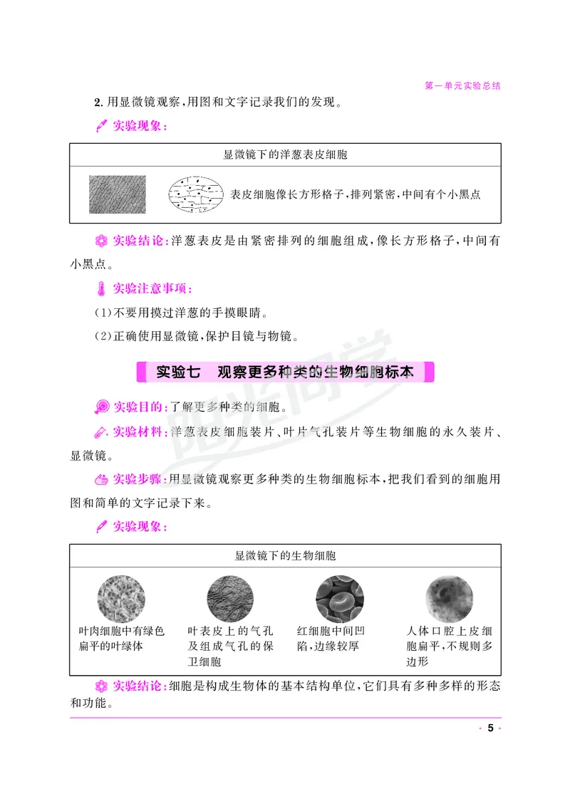 课时科学JK六上_2024年人教版小学数学一二三四五六年级上册下册期中期末试a0747_小学全科《同步练习+精品试卷》打包下载（1-6年级单元月考期中期末试卷）_小学科学