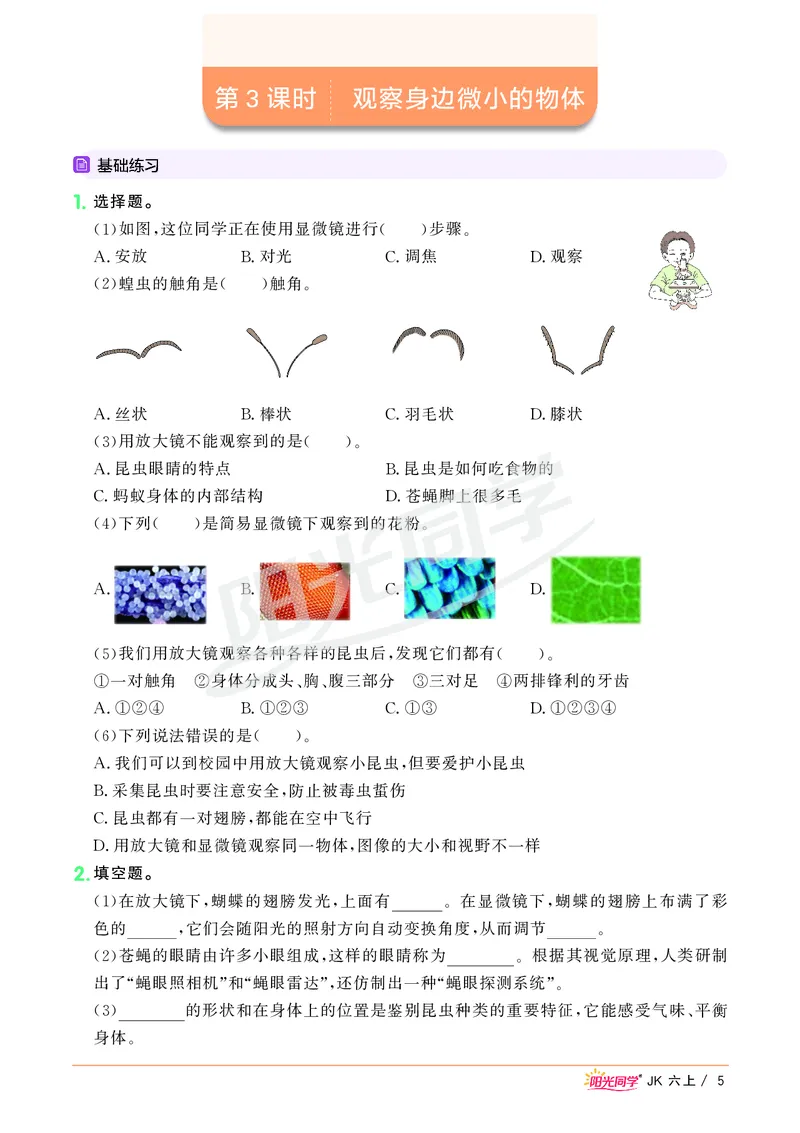 课时科学JK六上_2024年人教版小学数学一二三四五六年级上册下册期中期末试a0747_小学全科《同步练习+精品试卷》打包下载（1-6年级单元月考期中期末试卷）_小学科学