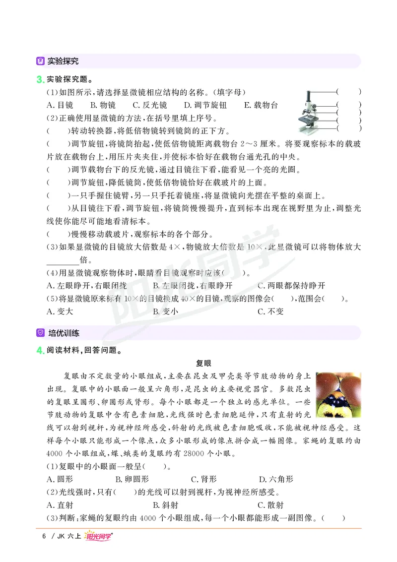 课时科学JK六上_2024年人教版小学数学一二三四五六年级上册下册期中期末试a0747_小学全科《同步练习+精品试卷》打包下载（1-6年级单元月考期中期末试卷）_小学科学