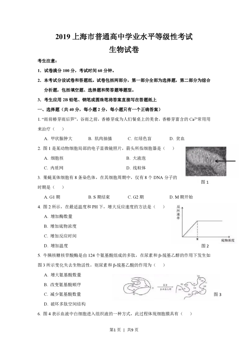 2019年高考生物试卷（上海）（空白卷）_生物历年高考真题_新&middot;PDF版2008-2025&middot;高考生物真题_生物（按试卷类型分类）2008-2025_自主命题卷&middot;生物（2008-2025）_上海自主命题&middot;生物（2008-2022）