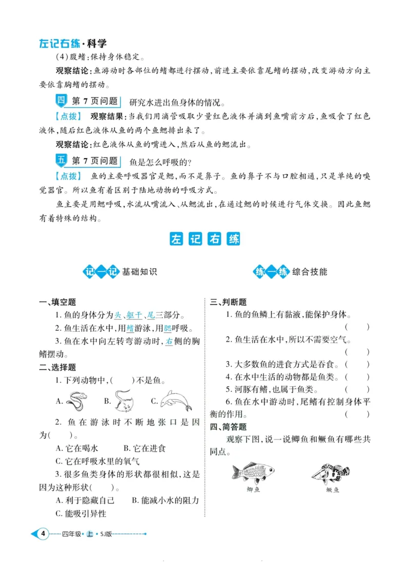 科学苏教版左记右练4年级上册_2024年人教版小学数学一二三四五六年级上册下册期中期末试a0747_小学全科《同步练习+精品试卷》打包下载（1-6年级单元月考期中期末试卷）_小学科学