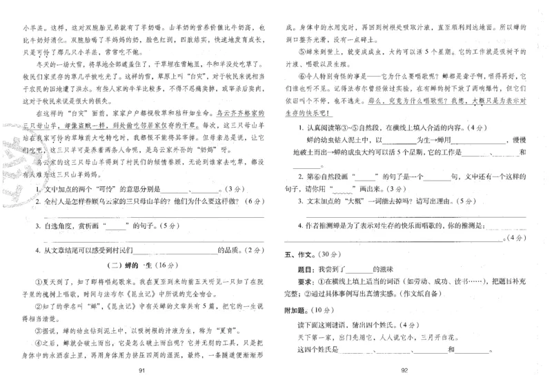 四上语文期末冲刺卷（24秋）_2024年人教版小学数学一二三四五六年级上册下册期中期末试a0747_小学全科《同步练习+精品试卷》打包下载（1-6年级单元月考期中期末试卷）_期末总复习