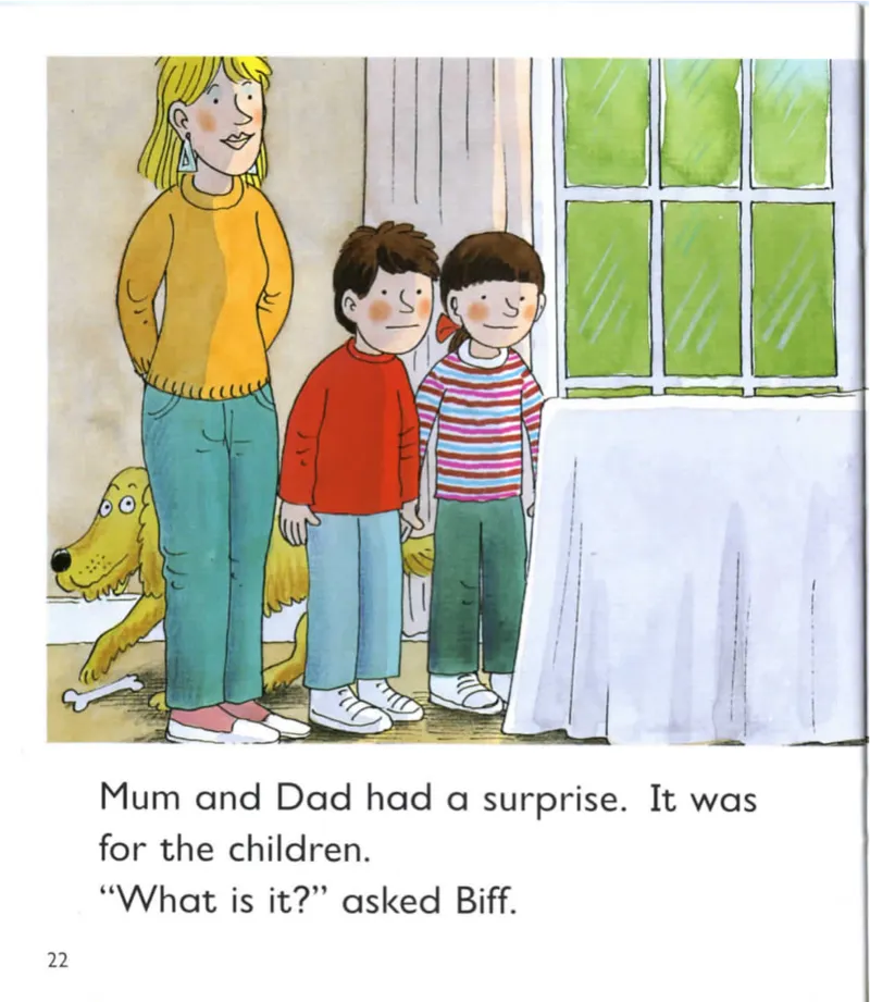 5-07TheWhatsit_Frank（小毛怪）老师爆笑阅读单词课（50个故事3000词）_牛津树5级别穿越单词课课件