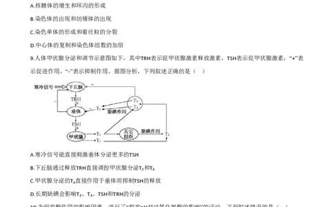 2020年高考生物试卷（浙江）（7月）（空白卷）_生物历年高考真题_新&middot;PDF版2008-2025&middot;高考生物真题_生物（按试卷类型分类）2008-2025_自主命题卷&middot;生物（2008-2025）