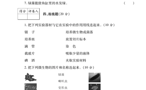 科学教科版单元测试卷6年级下册_2024年人教版小学数学一二三四五六年级上册下册期中期末试a0747_小学全科《同步练习+精品试卷》打包下载（1-6年级单元月考期中期末试卷）_小学科学