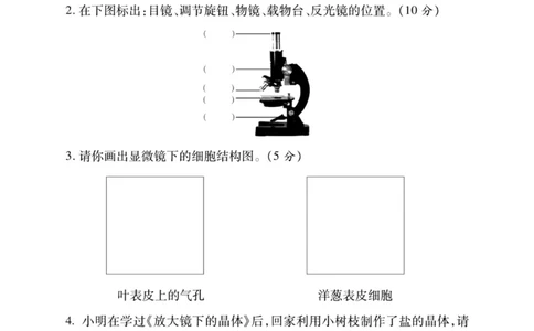 科学教科版单元测试卷6年级下册_2024年人教版小学数学一二三四五六年级上册下册期中期末试a0747_小学全科《同步练习+精品试卷》打包下载（1-6年级单元月考期中期末试卷）_小学科学