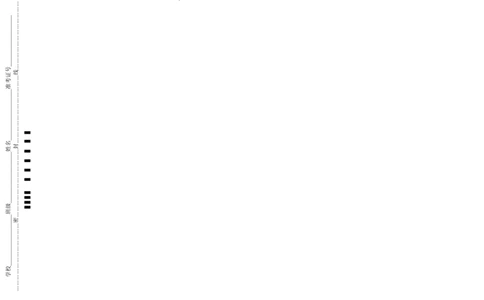 语文（陕西卷）（答题卡）_2025年初中《中考第一次模拟》全国各地区模拟卷（8科全）(1)_2025年《中考第一次模拟卷》初中语文_陕西&radic;