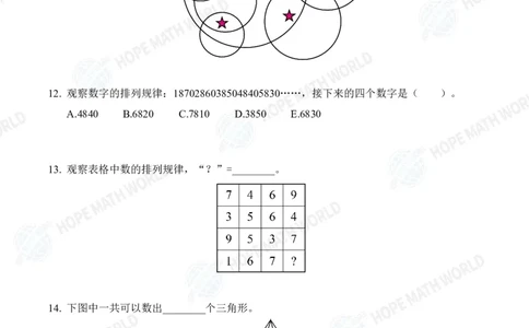 2025IHCJ-1发布版_希望杯IHC