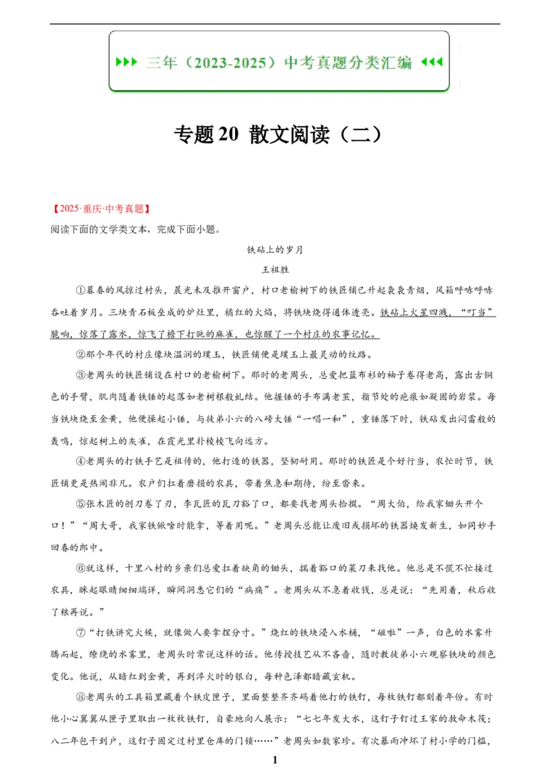专题20散文阅读(二)(解析版)_2023-2025《3年中考1年模拟》真题分类汇编（语文、数学）(1)_2023-2025《3年中考1年模拟真题分类汇编》语文