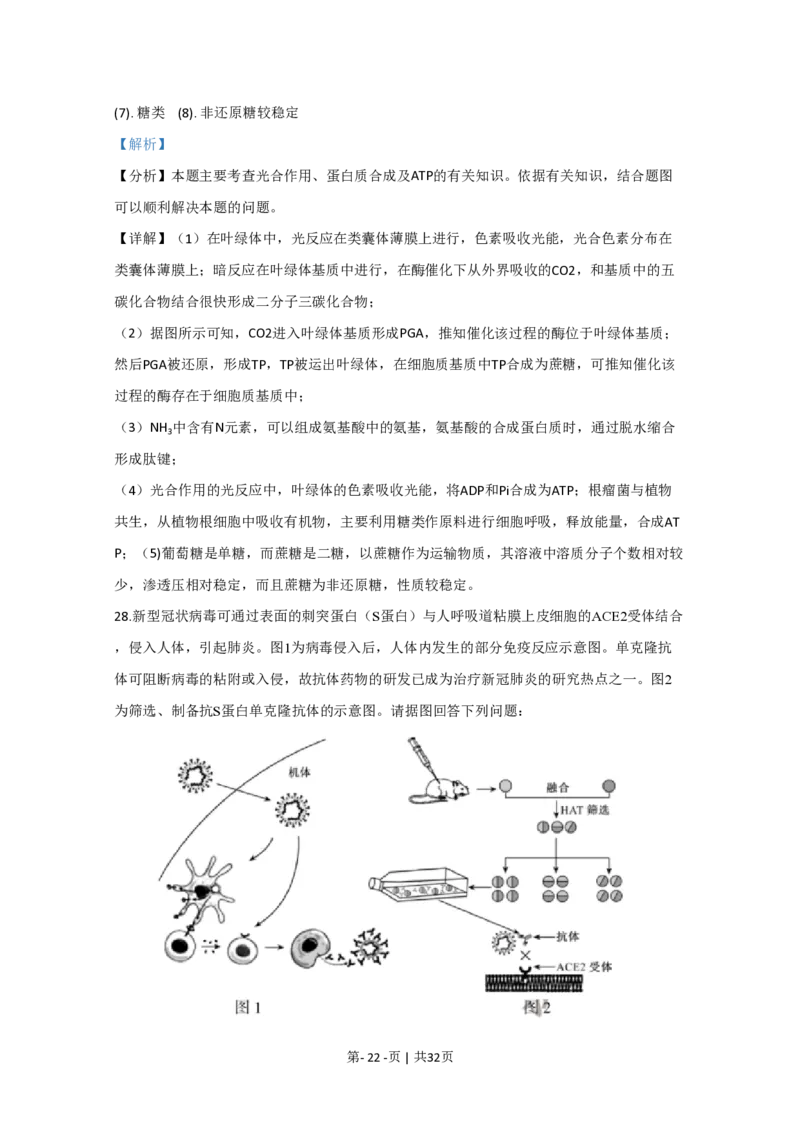 2020年高考生物试卷（江苏）（解析卷）_生物历年高考真题_新&middot;PDF版2008-2025&middot;高考生物真题_生物（按年份分类）2008-2025_2020&middot;高考生物真题