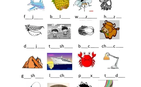 看图补充音节专项练习4套_幼小衔接全套_7.幼小衔接全套_01、拼音_4、拼音试卷