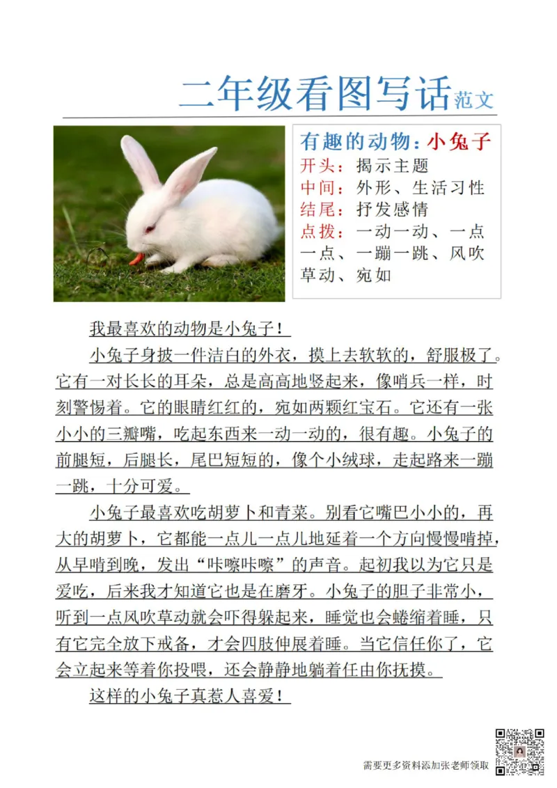 1_二年级看图写话范文24(1)(4)(11)(12)_二年级上下册资料_二年级上册小红书同款资料_二年级