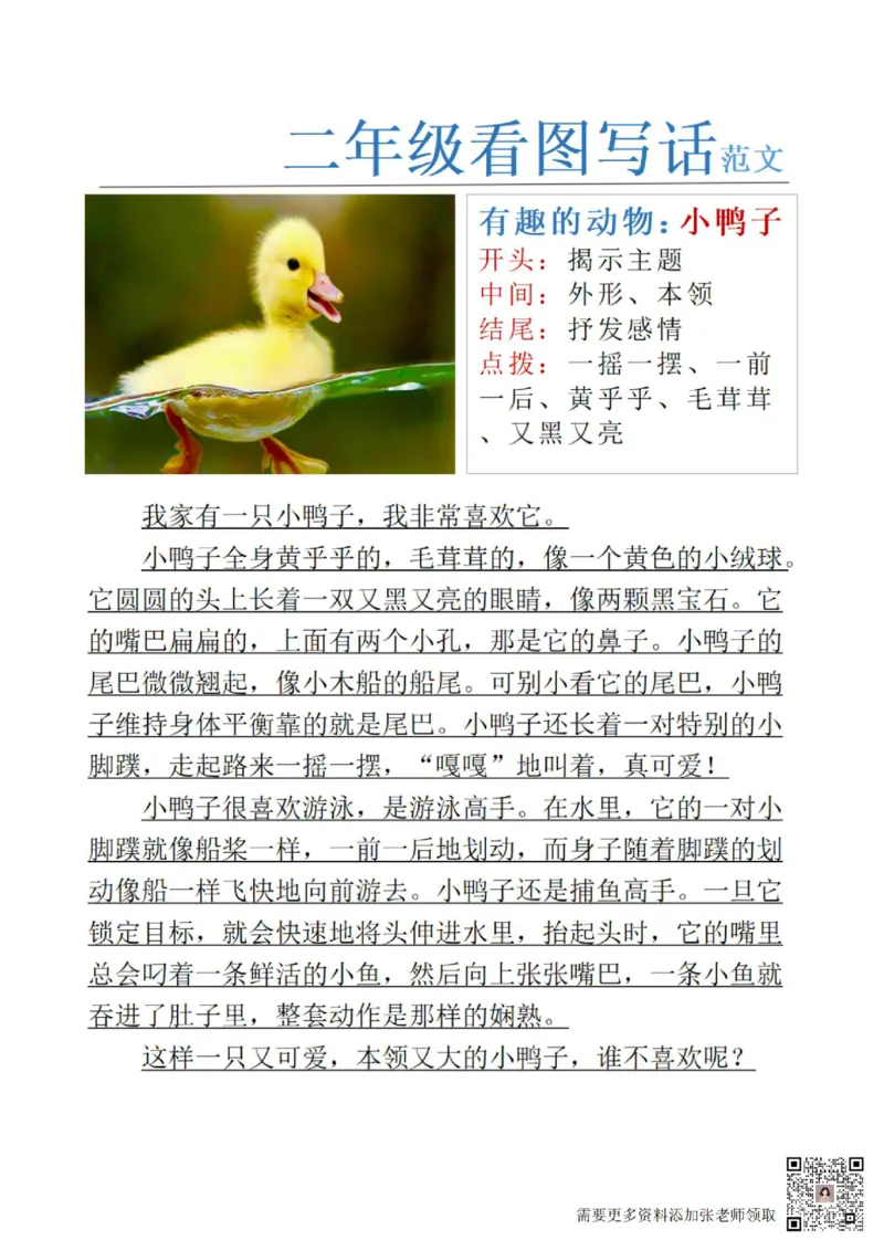 1_二年级看图写话范文24(1)(4)(11)(12)_二年级上下册资料_二年级上册小红书同款资料_二年级