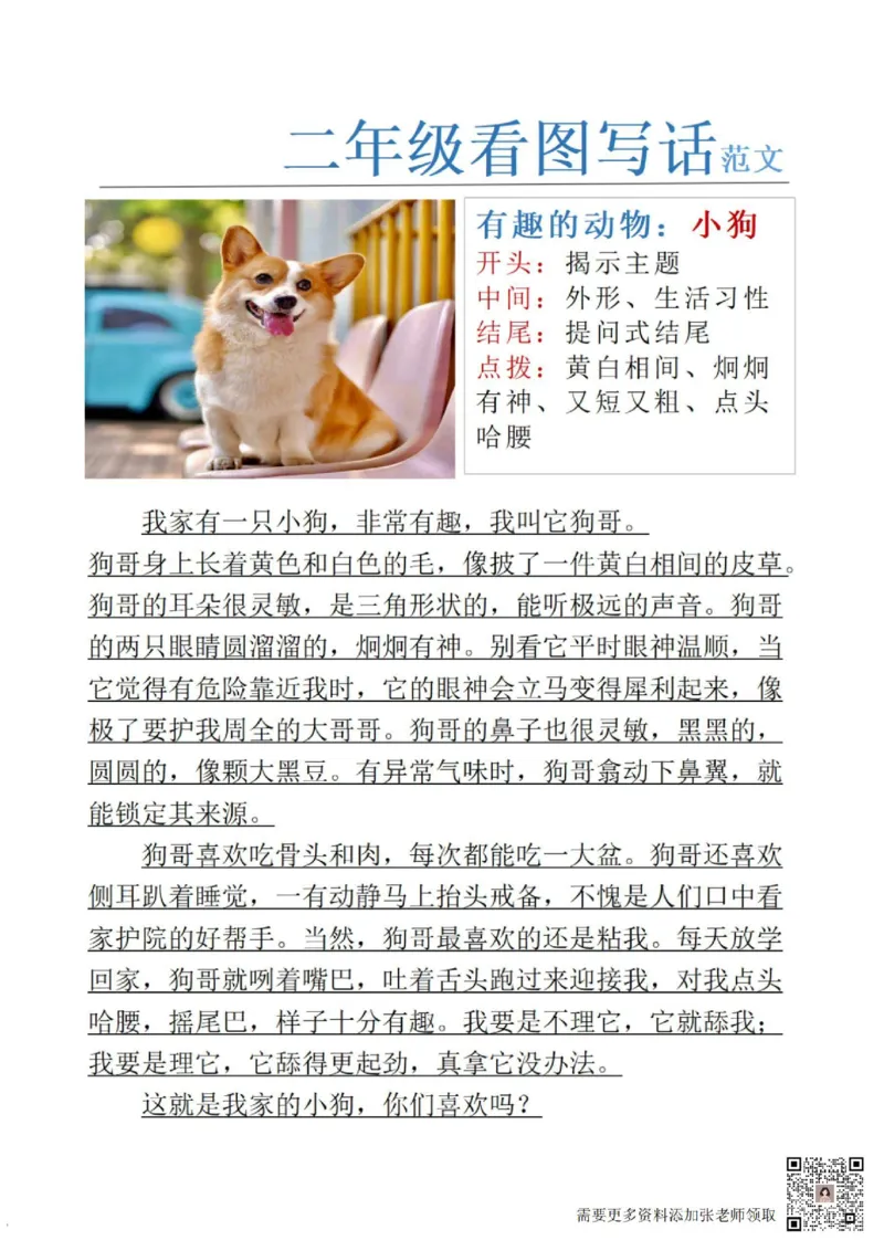 1_二年级看图写话范文24(1)(4)(11)(12)_二年级上下册资料_二年级上册小红书同款资料_二年级