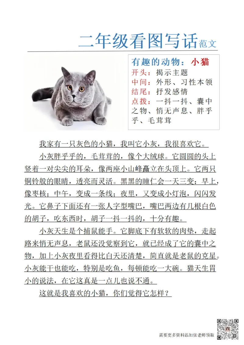 1_二年级看图写话范文24(1)(4)(11)(12)_二年级上下册资料_二年级上册小红书同款资料_二年级