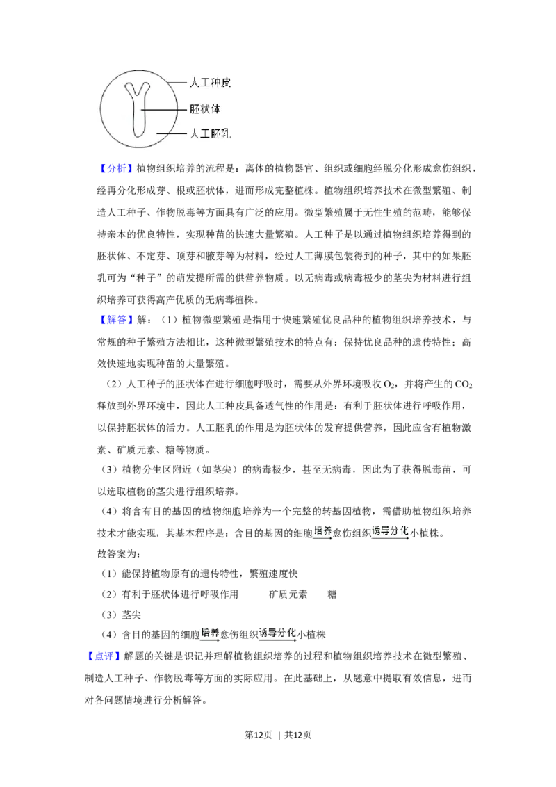 2019年高考生物试卷（新课标Ⅱ）（解析卷）_生物历年高考真题_新&middot;Word版2008-2025&middot;高考生物真题_生物（按年份分类）2008-2025_2019&middot;高考生物真题