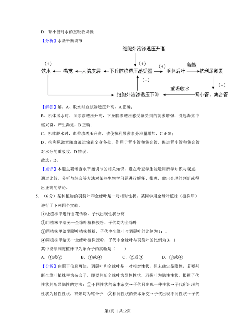 2019年高考生物试卷（新课标Ⅱ）（解析卷）_生物历年高考真题_新&middot;Word版2008-2025&middot;高考生物真题_生物（按年份分类）2008-2025_2019&middot;高考生物真题