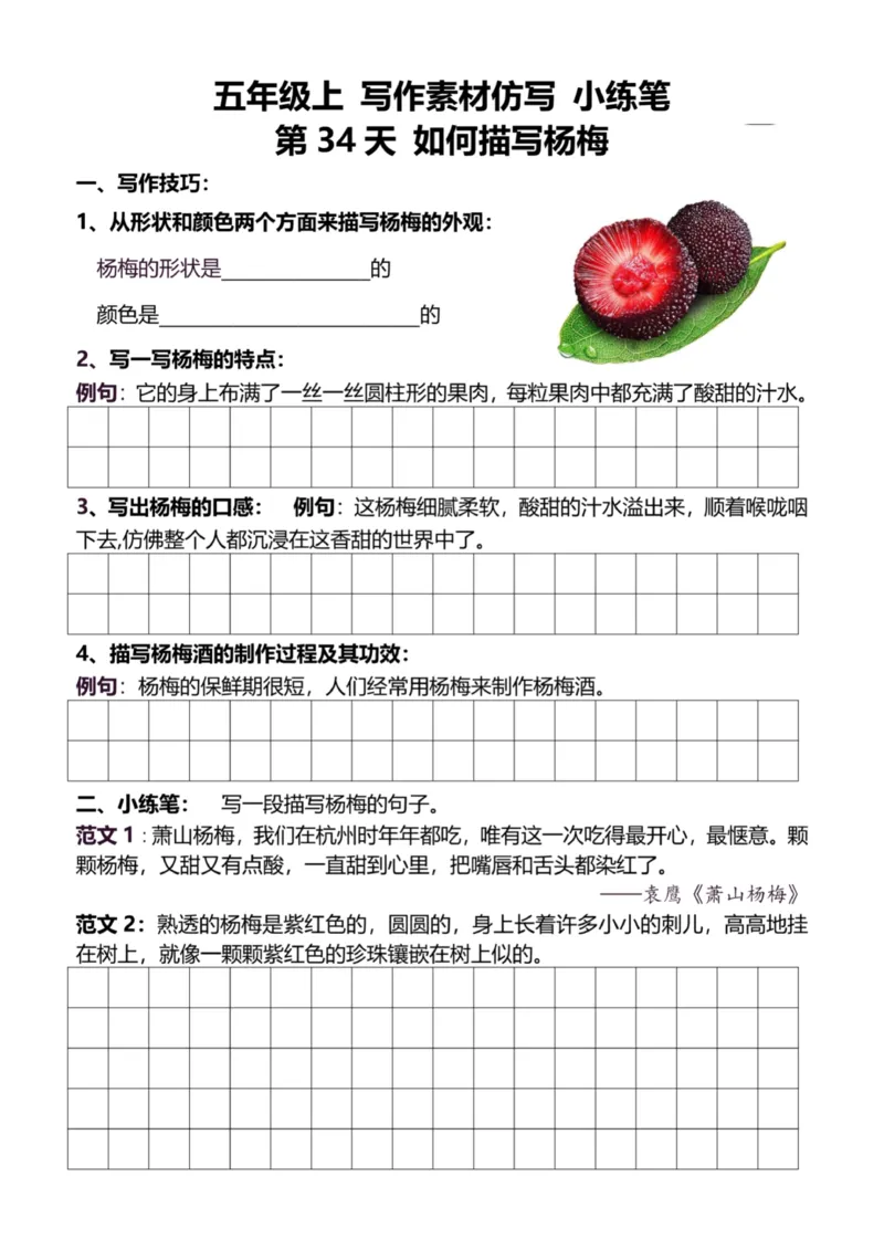 5年级上好文仿写小练笔新155页_A016天天小练笔_5上天天小练笔