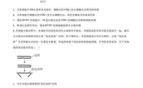 2020年高考生物试卷（山东）（空白卷）_生物历年高考真题_新&middot;Word版2008-2025&middot;高考生物真题_生物（按年份分类）2008-2025_2020&middot;高考生物真题