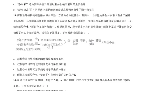 2020年高考生物试卷（山东）（空白卷）_生物历年高考真题_新&middot;Word版2008-2025&middot;高考生物真题_生物（按年份分类）2008-2025_2020&middot;高考生物真题