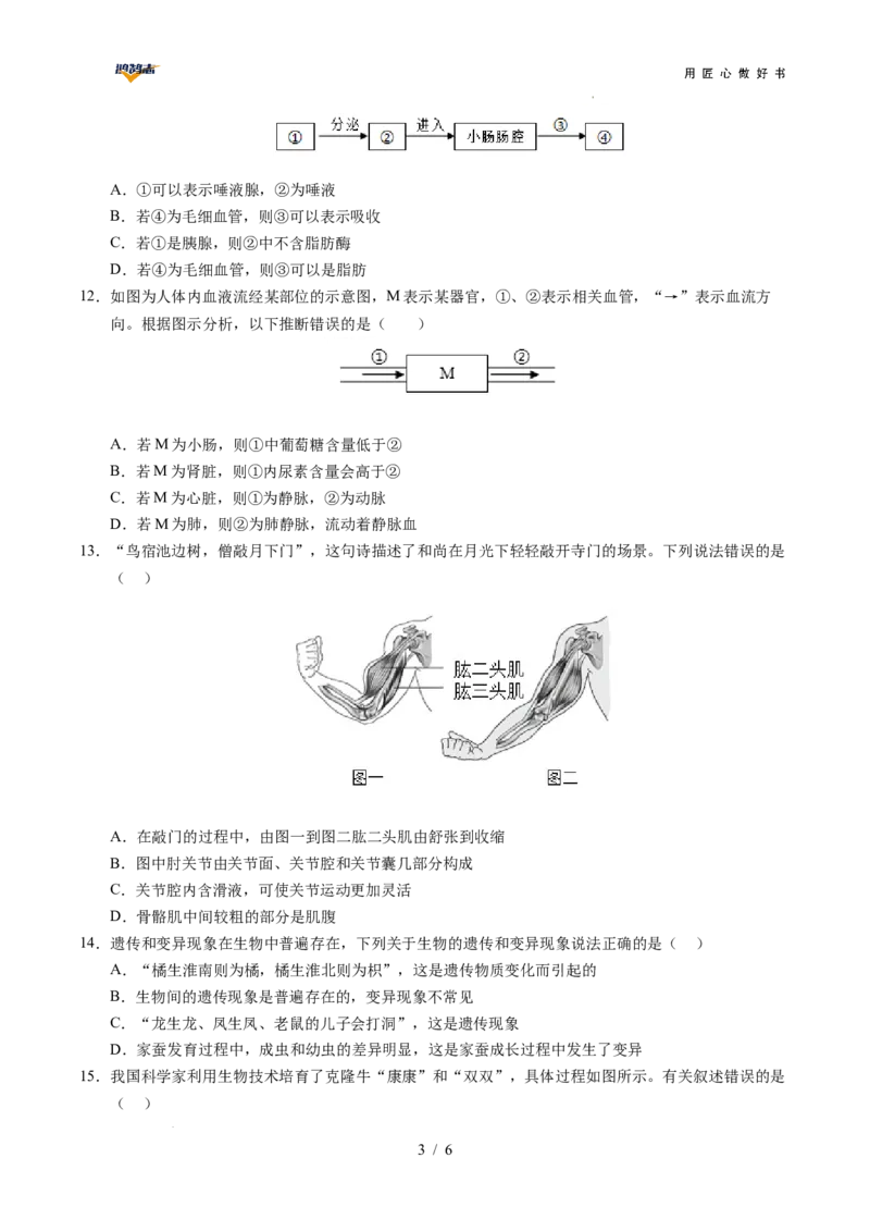 生物（贵州卷）（考试版A4）_2025年初中《中考第一次模拟》全国各地区模拟卷（8科全）(1)_2025年《中考第一次模拟卷》初中生物_贵州&radic;