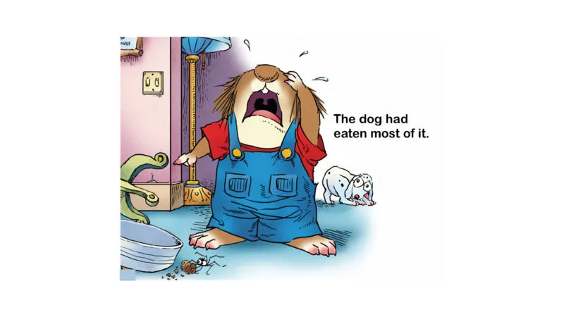 15.Thebestteacherever_Frank（小毛怪）老师爆笑阅读单词课（50个故事3000词）_小炸毛爆笑故事单词课课件