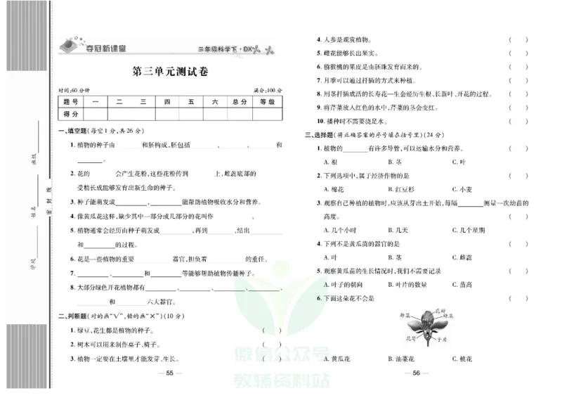 夺冠新课堂三年级下册科学大象版试卷_2024年人教版小学数学一二三四五六年级上册下册期中期末试a0747_小学全科《同步练习+精品试卷》打包下载（1-6年级单元月考期中期末试卷）