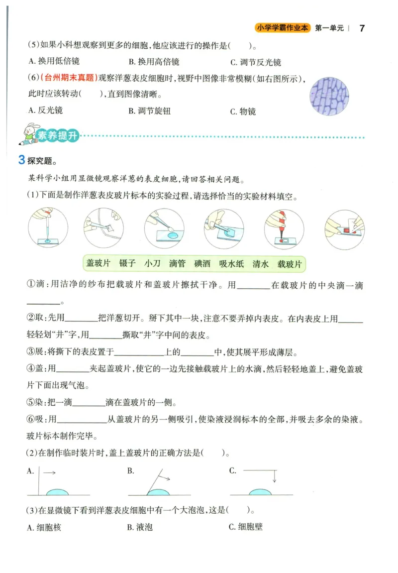 小学学霸作业本六年级上册科学教科版_2024年人教版小学数学一二三四五六年级上册下册期中期末试a0747_小学全科《同步练习+精品试卷》打包下载（1-6年级单元月考期中期末试卷）