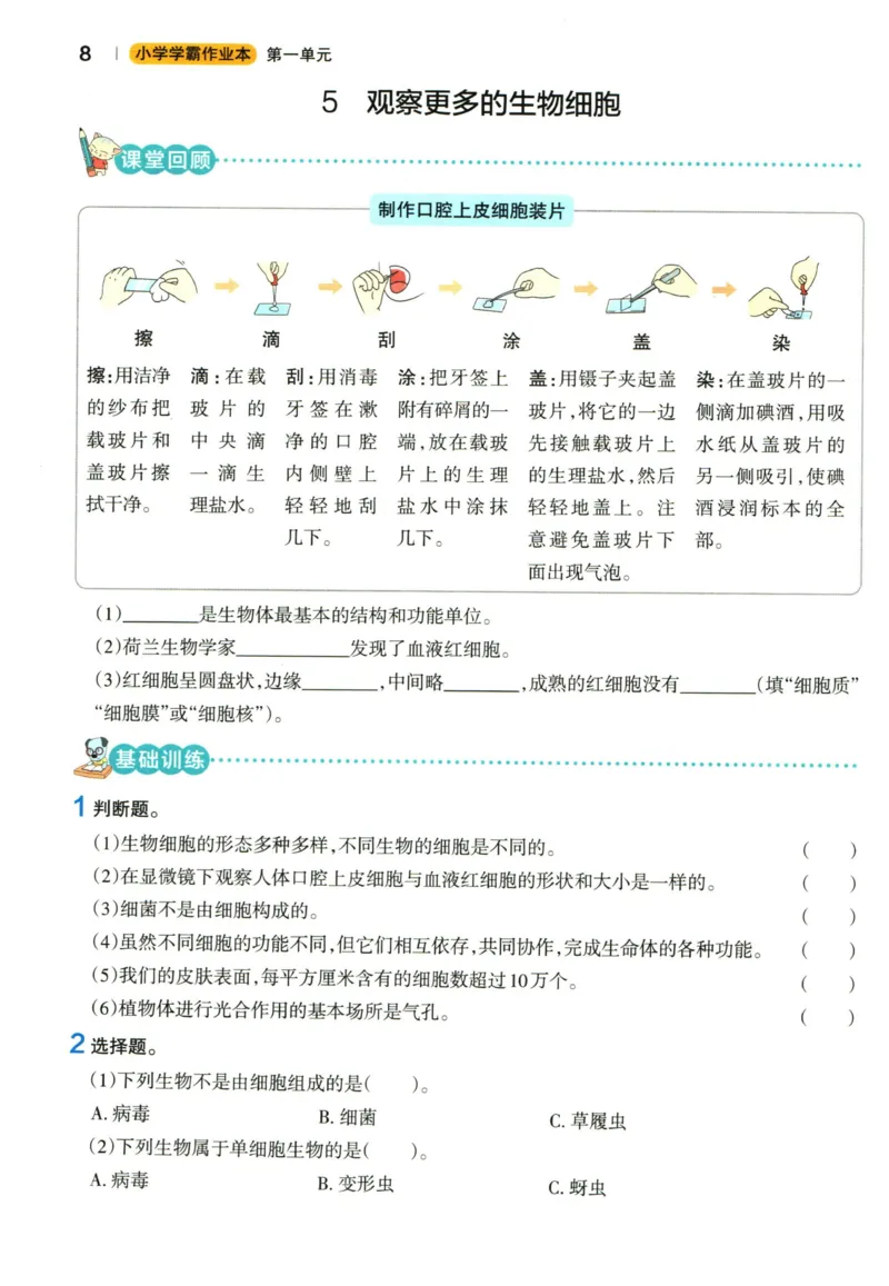 小学学霸作业本六年级上册科学教科版_2024年人教版小学数学一二三四五六年级上册下册期中期末试a0747_小学全科《同步练习+精品试卷》打包下载（1-6年级单元月考期中期末试卷）