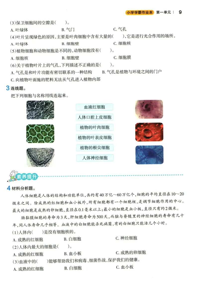 小学学霸作业本六年级上册科学教科版_2024年人教版小学数学一二三四五六年级上册下册期中期末试a0747_小学全科《同步练习+精品试卷》打包下载（1-6年级单元月考期中期末试卷）