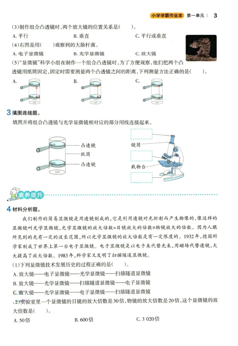 小学学霸作业本六年级上册科学教科版_2024年人教版小学数学一二三四五六年级上册下册期中期末试a0747_小学全科《同步练习+精品试卷》打包下载（1-6年级单元月考期中期末试卷）