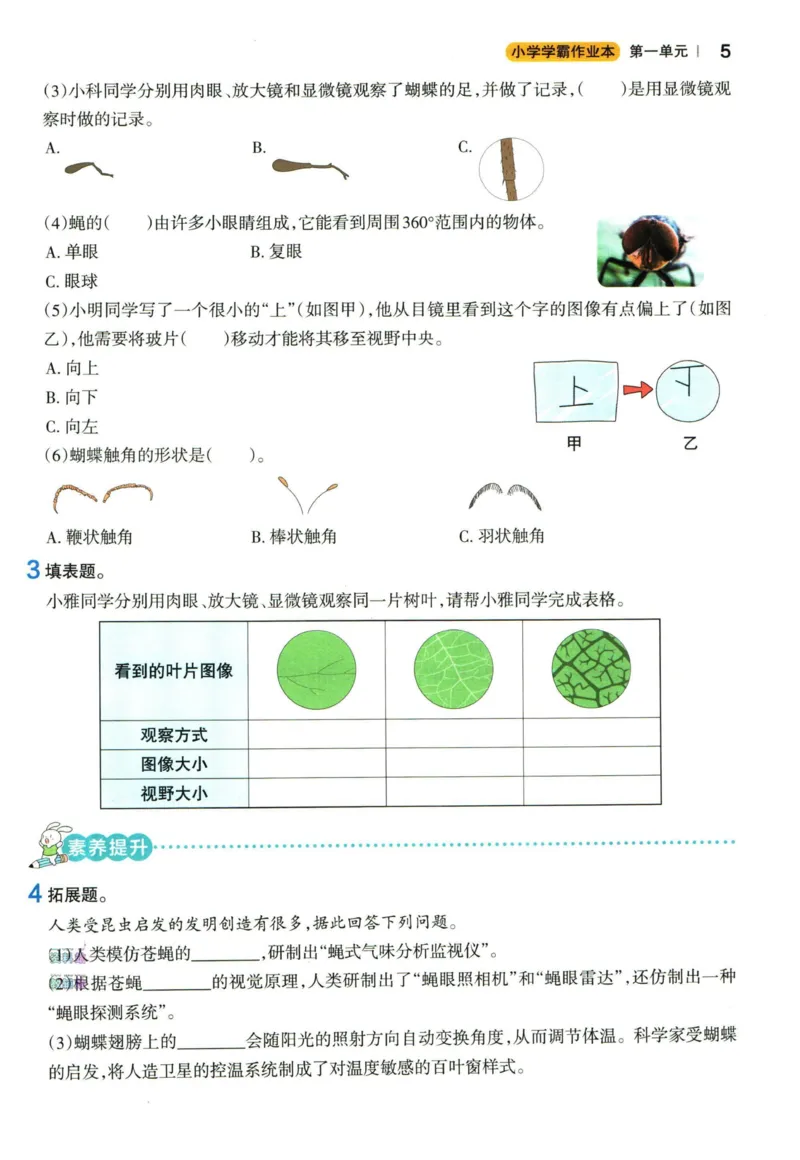 小学学霸作业本六年级上册科学教科版_2024年人教版小学数学一二三四五六年级上册下册期中期末试a0747_小学全科《同步练习+精品试卷》打包下载（1-6年级单元月考期中期末试卷）