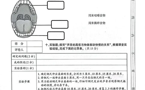 贵州省毕节市威宁县2022-2023学年四年级上学期期末练习综合(道德与法治+科学)试卷_2024年人教版小学数学一二三四五六年级上册下册期中期末试a0747_小学科学_《期末综合测试卷》3-6上册