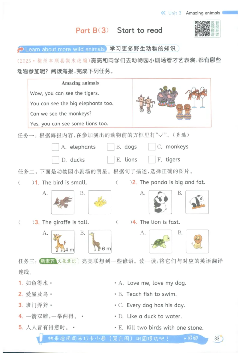 25秋 亮点给力新情境素养 英语人教版 3年级上册