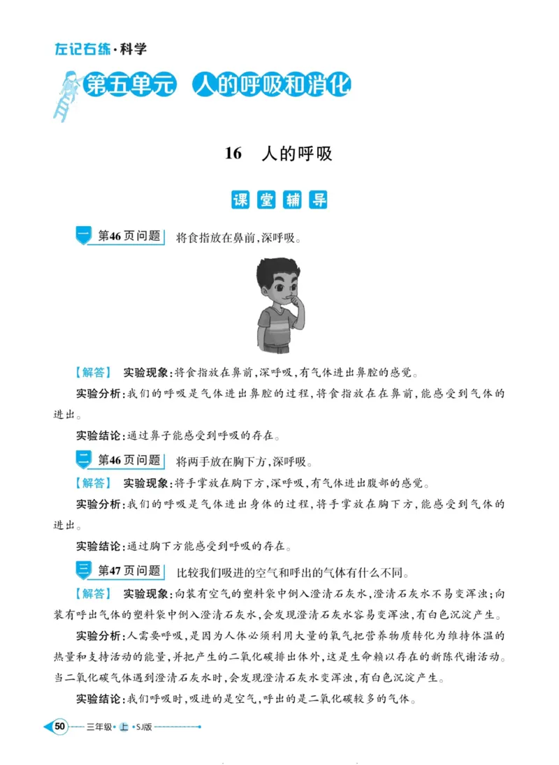 科学苏教版左记右练3年级上册_2024年人教版小学数学一二三四五六年级上册下册期中期末试a0747_小学全科《同步练习+精品试卷》打包下载（1-6年级单元月考期中期末试卷）_小学科学