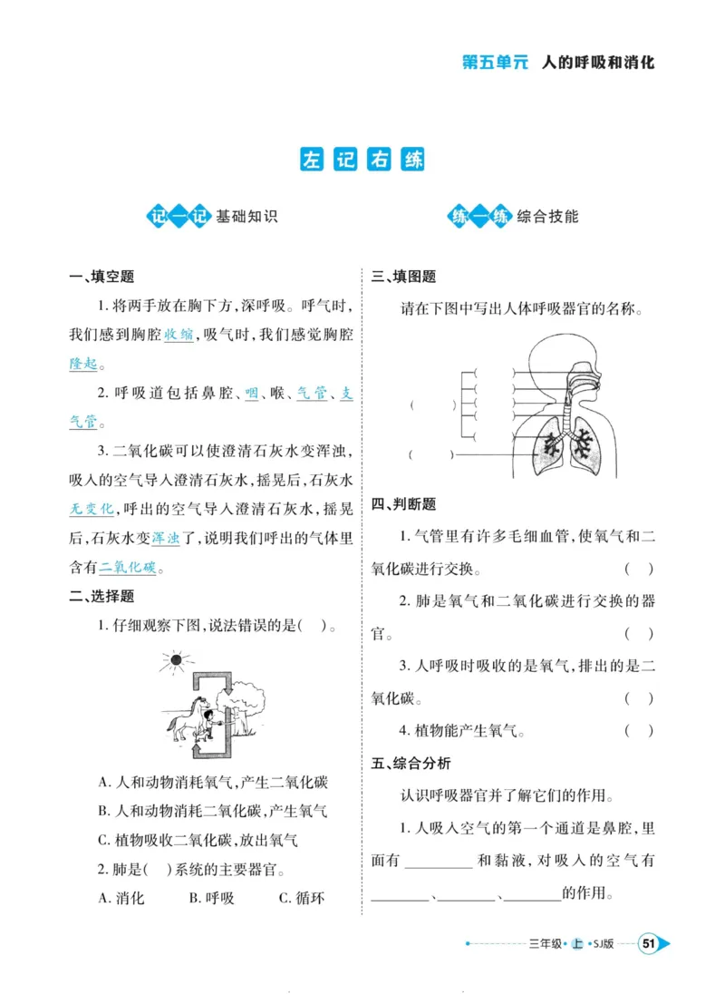 科学苏教版左记右练3年级上册_2024年人教版小学数学一二三四五六年级上册下册期中期末试a0747_小学全科《同步练习+精品试卷》打包下载（1-6年级单元月考期中期末试卷）_小学科学