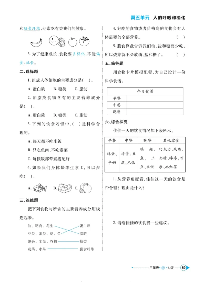 科学苏教版左记右练3年级上册_2024年人教版小学数学一二三四五六年级上册下册期中期末试a0747_小学全科《同步练习+精品试卷》打包下载（1-6年级单元月考期中期末试卷）_小学科学