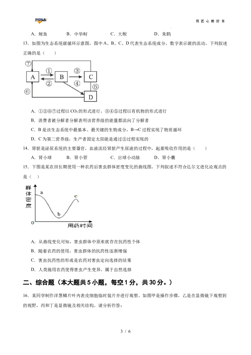 生物（广西卷）（考试版A4）_2025年初中《中考第一次模拟》全国各地区模拟卷（8科全）(1)_2025年《中考第一次模拟卷》初中生物_广西&radic;