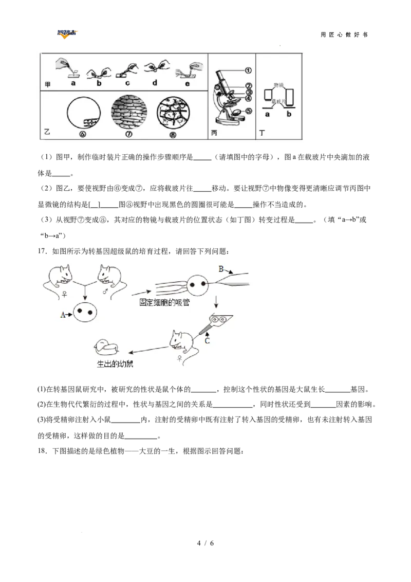 生物（广西卷）（考试版A4）_2025年初中《中考第一次模拟》全国各地区模拟卷（8科全）(1)_2025年《中考第一次模拟卷》初中生物_广西&radic;