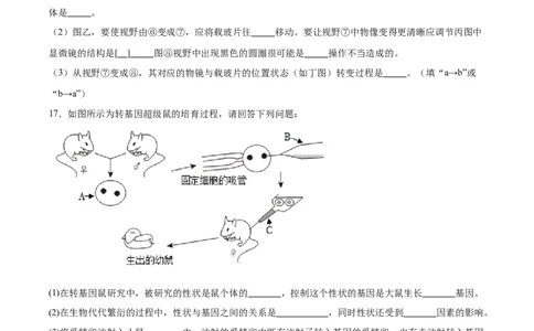 生物（广西卷）（考试版A4）_2025年初中《中考第一次模拟》全国各地区模拟卷（8科全）(1)_2025年《中考第一次模拟卷》初中生物_广西&radic;