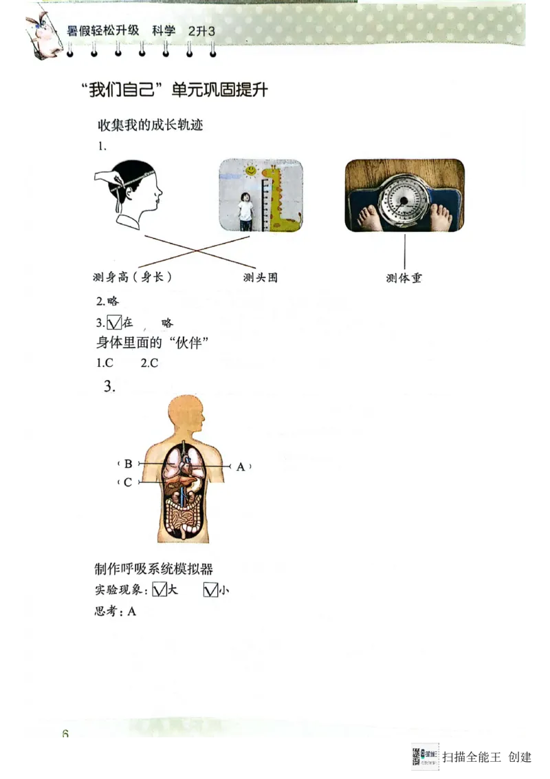 暑假轻松升级科学2升3_2024年人教版小学数学一二三四五六年级上册下册期中期末试a0747_小学全科《同步练习+精品试卷》打包下载（1-6年级单元月考期中期末试卷）_小学科学